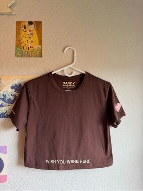 Rare Find! DANDY Worldwide Brown Cropped Tee - "Wish You Were Here"
